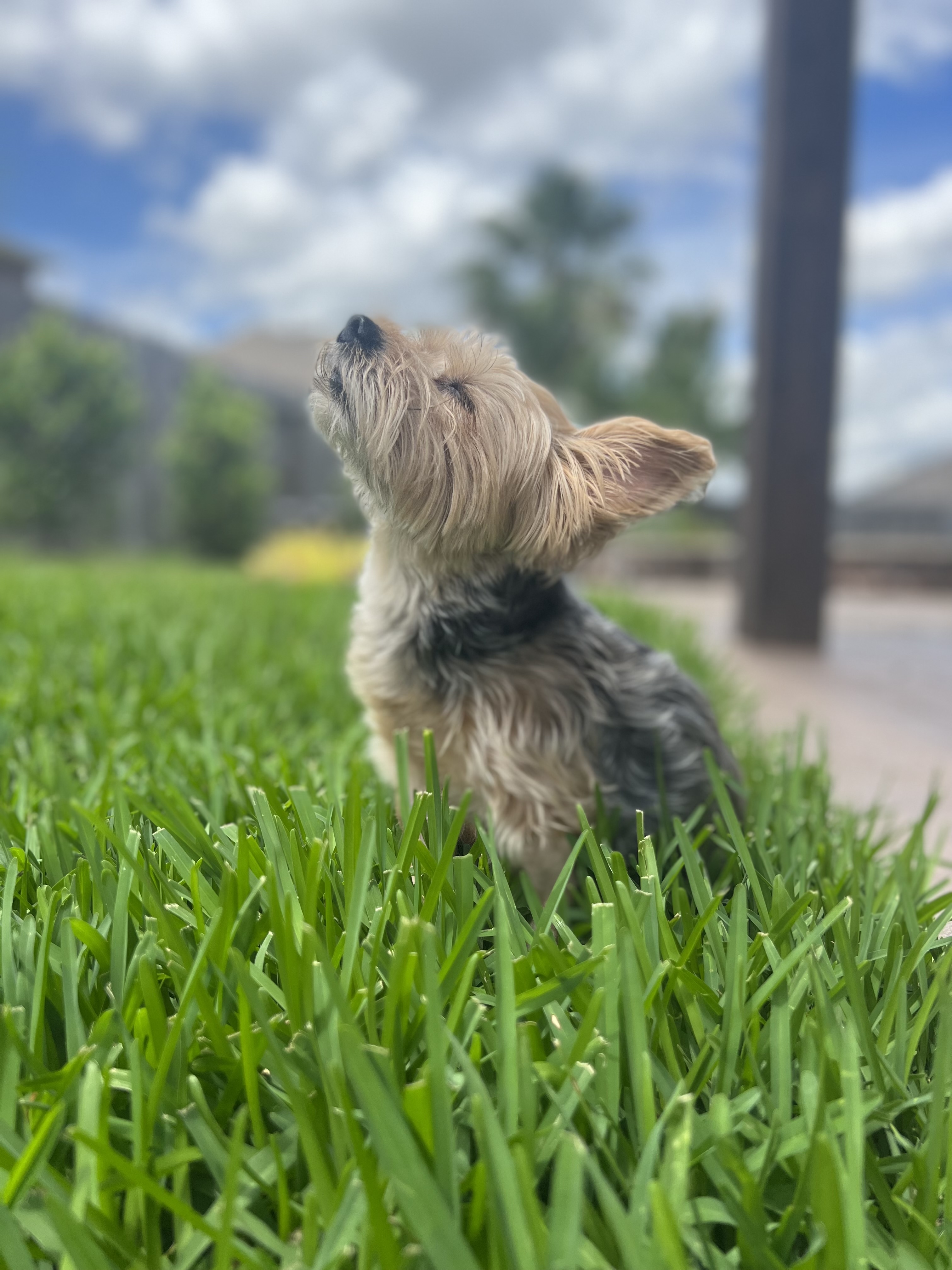 James Laase holding his oboe
